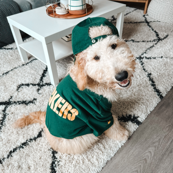 mini portidoodle mini portidoodle in a green outfit